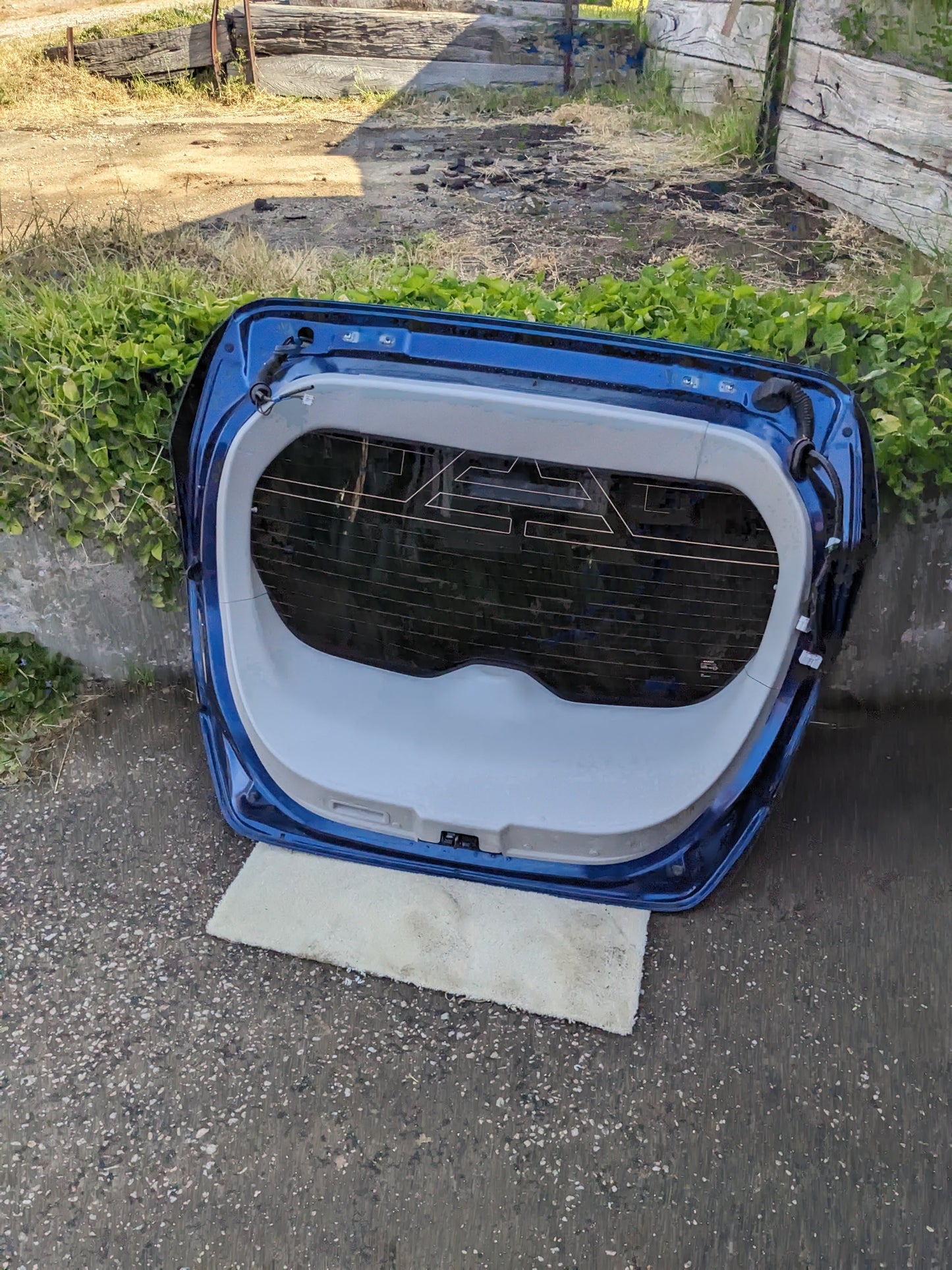 Nissan 90100-5SA0B Door Assy-Back COMPLETE BOOT-Nissan Leaf ZE1 BLUE