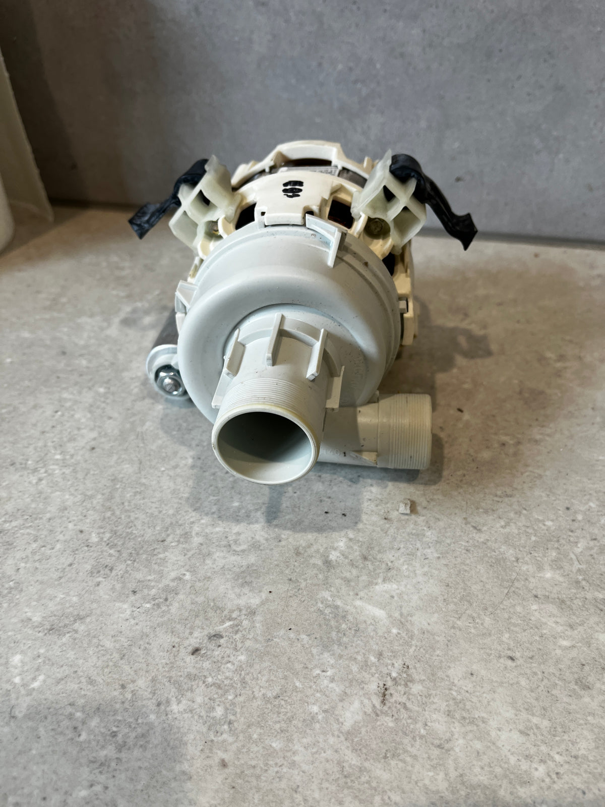 Outlet pipe view of washing machine drain pump motor assembly