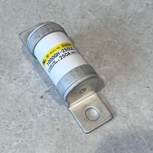 SONY IJ8101C BMS Fuse Hinode 250A  with Tabs