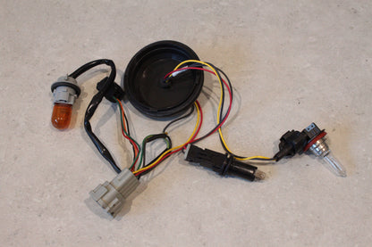 NISSAN Headlight wiring harness with Globes 8 Pin