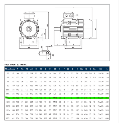 CMG SLA 100LA Three Phase 2.2KW 4 Pole Electric Motor