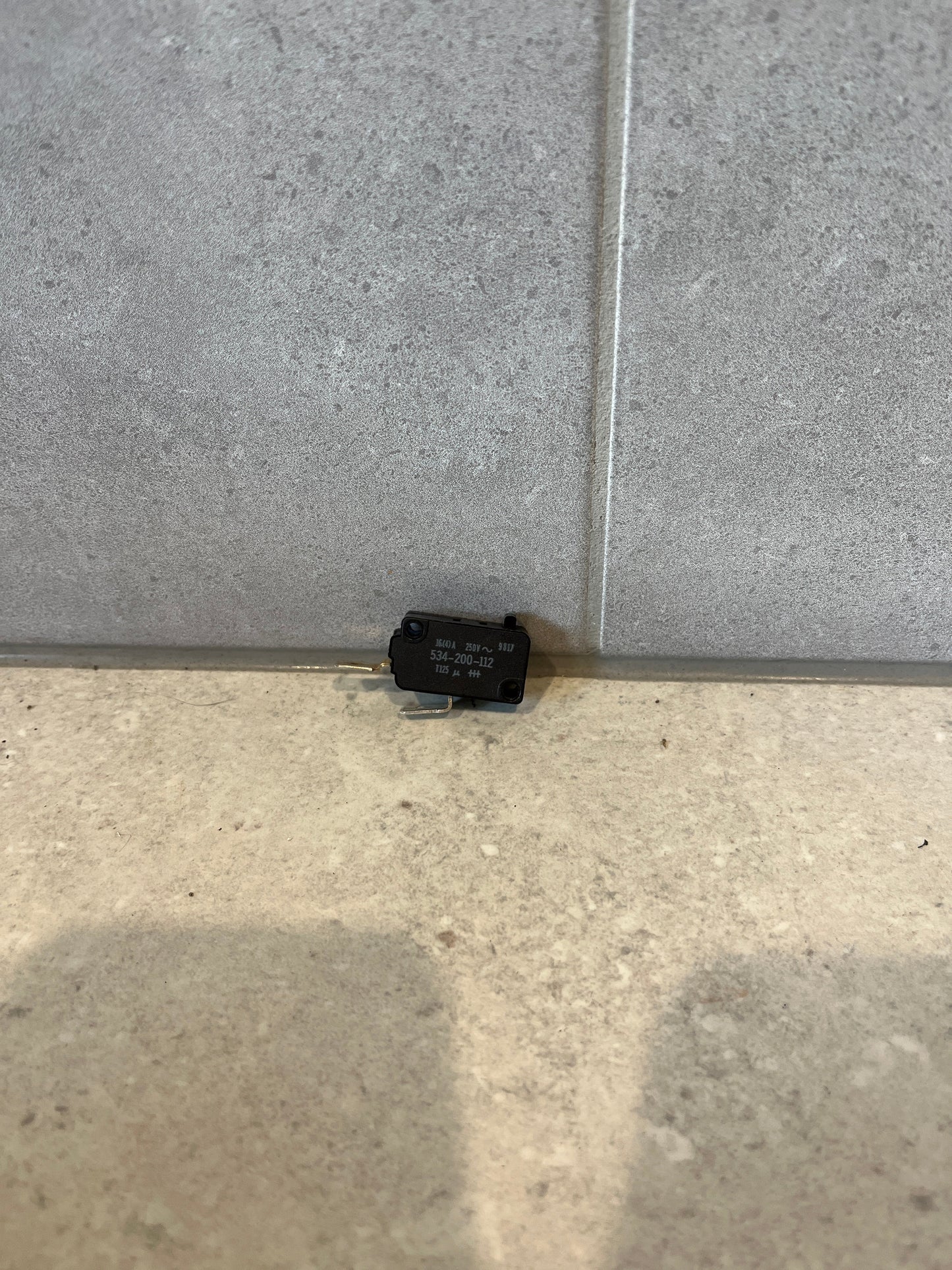 Simpson/Hoover Dryer & Washing Machine Door Switch 534200112