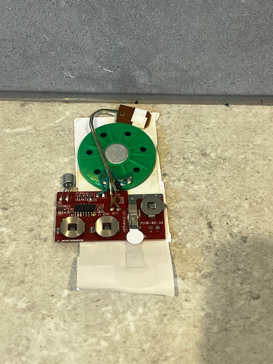 Greeting Card Voice Recording Module with 30 Second Recordable Button Interactiv