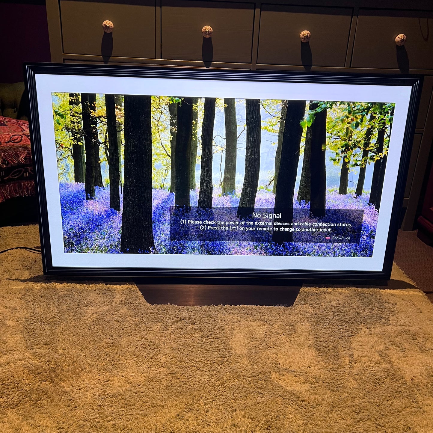 LG CX 48 inch 4K Smart Self-Lit OLED TV w/ AI ThinQ OLED48CXPTA