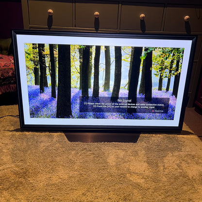 LG CX 48 inch 4K Smart Self-Lit OLED TV w/ AI ThinQ OLED48CXPTA