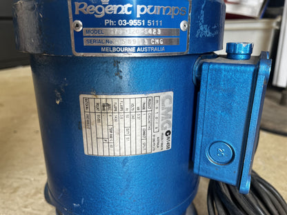 Regent 25L-120-S423 Single Phase 25mm FBSP In-Line Hot Water Circulator Pump 4 Pole