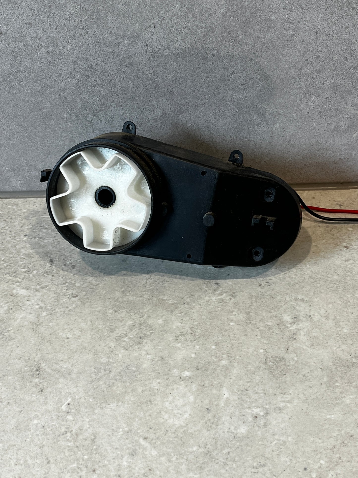 Front view of 12V DC electric gearbox motor with white gear