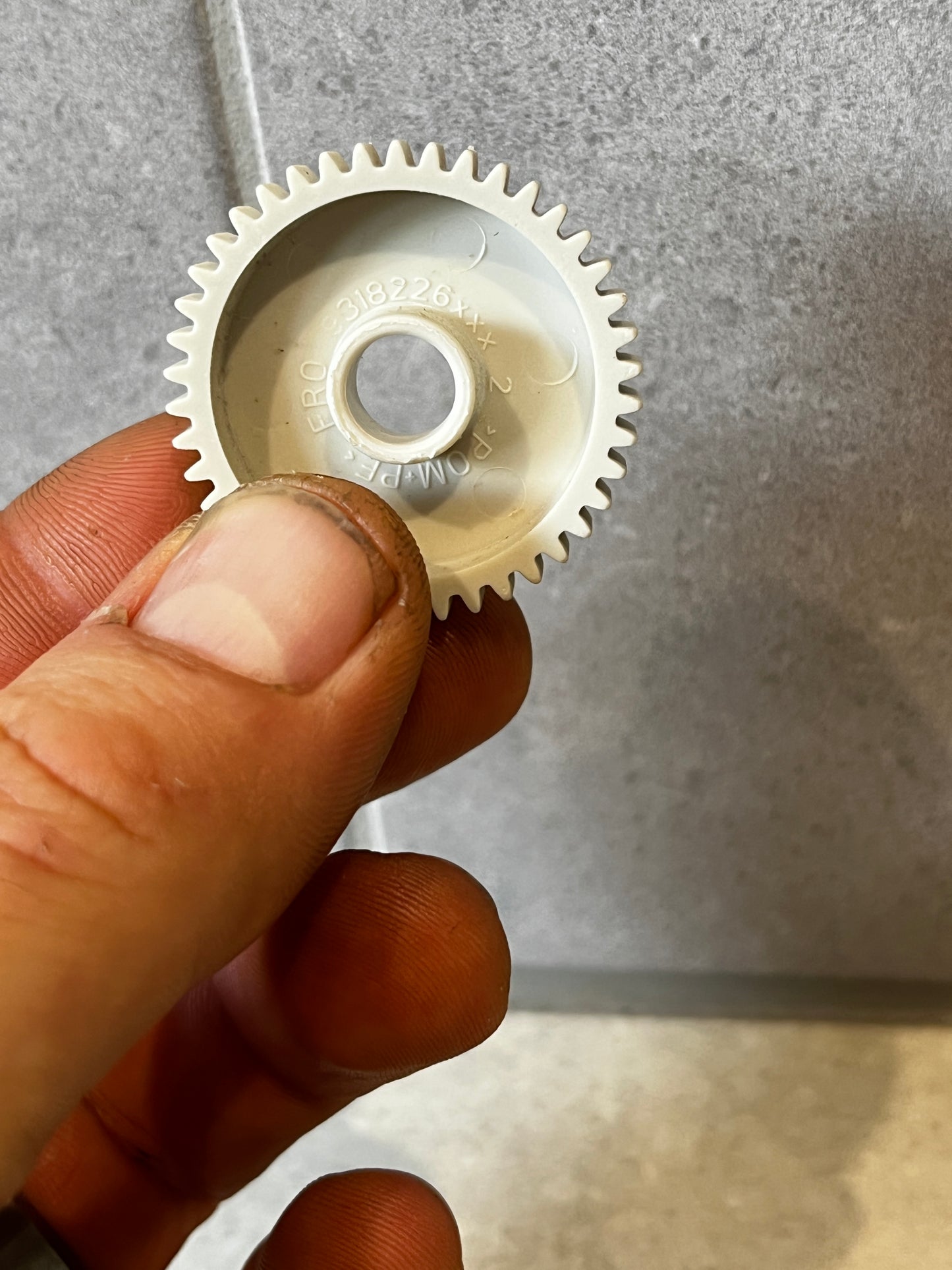 Hand holding white plastic gear wheel against gray background
